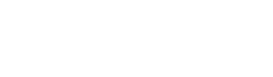 bnp-paribas-fortis-logo-white