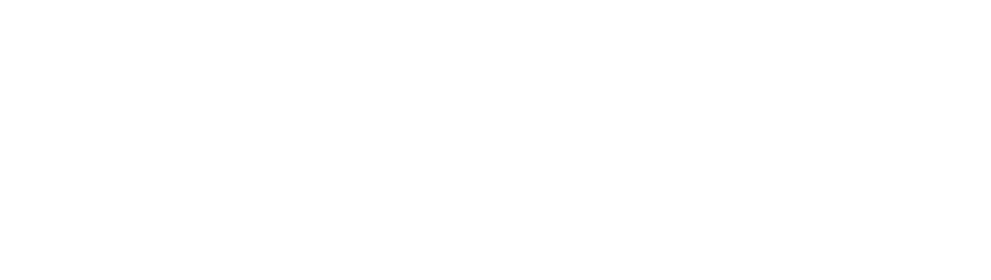esthetic-airlines-logo-white